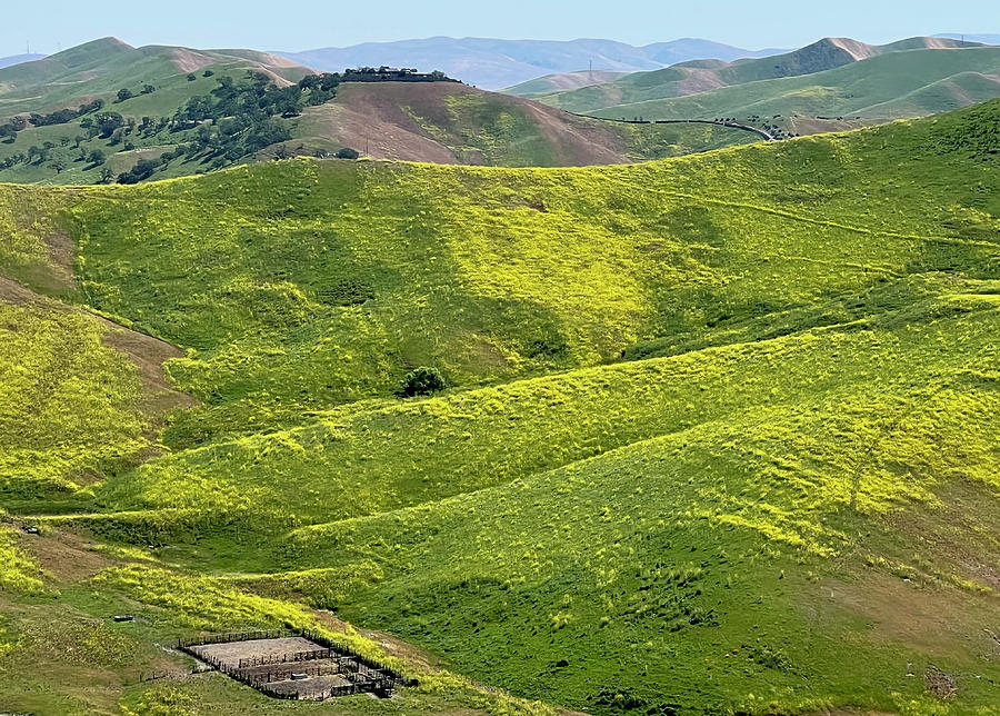 Carpeted Hills Photograph by Amelia Racca