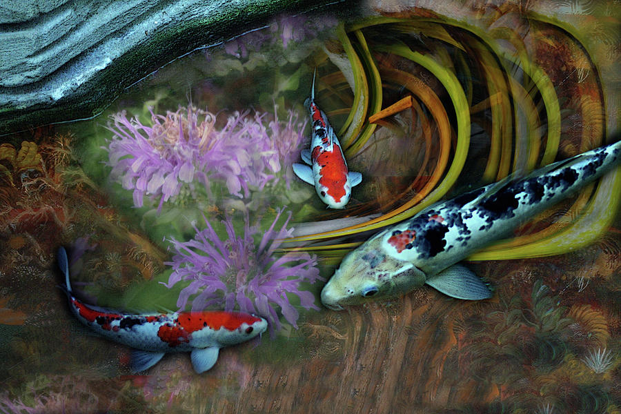 Fish Photograph - Carpey Deem by Wayne King