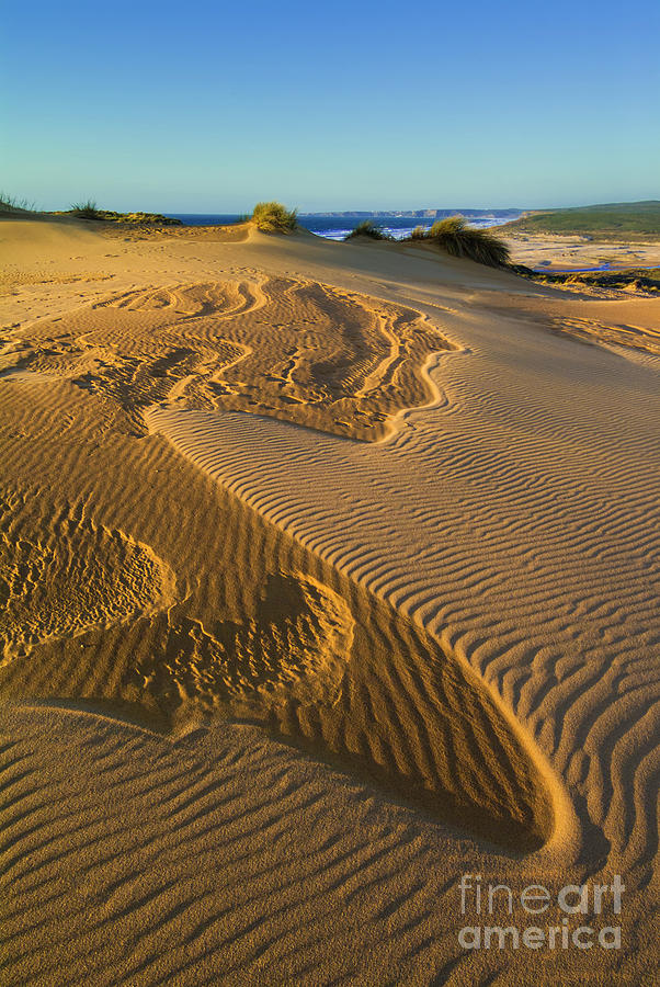 Carrapateira sand dunes, Algarve, Portugal, Europe Photograph by Neale And Judith Clark
