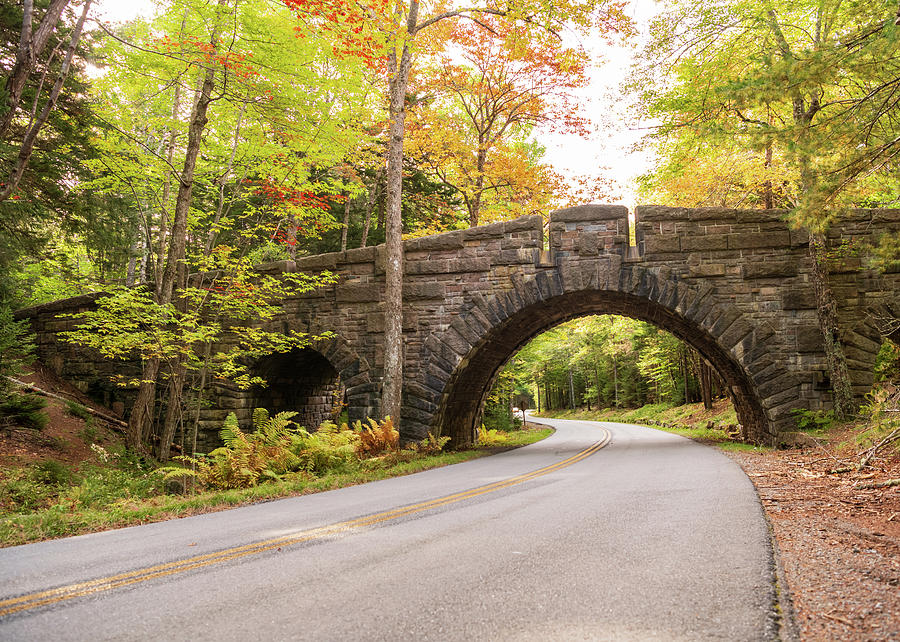 Carriage Bridge in Acadia Photograph by Rose Guinther