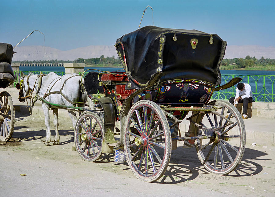 Carriage driver down cast Photograph by Paul Vitko