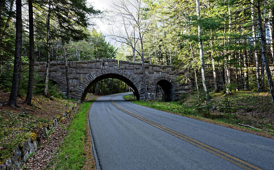 Carriage Path Bridge Acadia NP Photograph by Doolittle Photography and Art