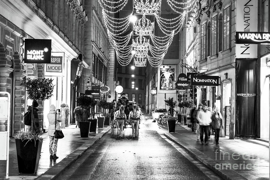 Carriage Ride at Night in Vienna Photograph by John Rizzuto