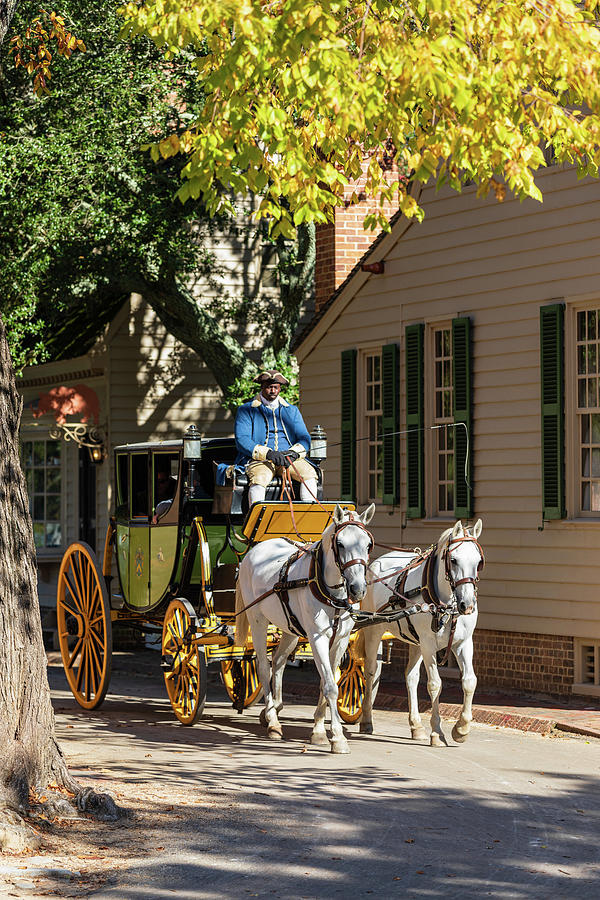 Carriage Ride in Autumn Photograph by Rachel Morrison