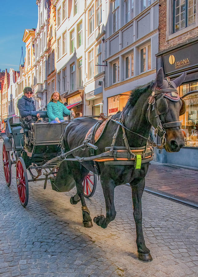 Carriage Ride in Bruges, Belgium Photograph by Marcy Wielfaert