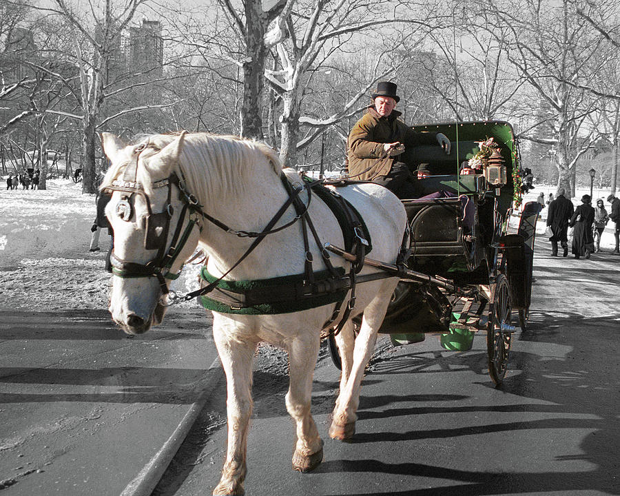 Carriage Ride Photograph by Jim Mathis