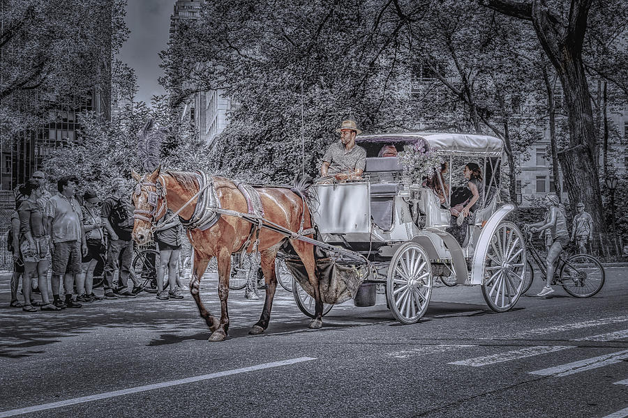 Carriage Riders Photograph by Penny Polakoff