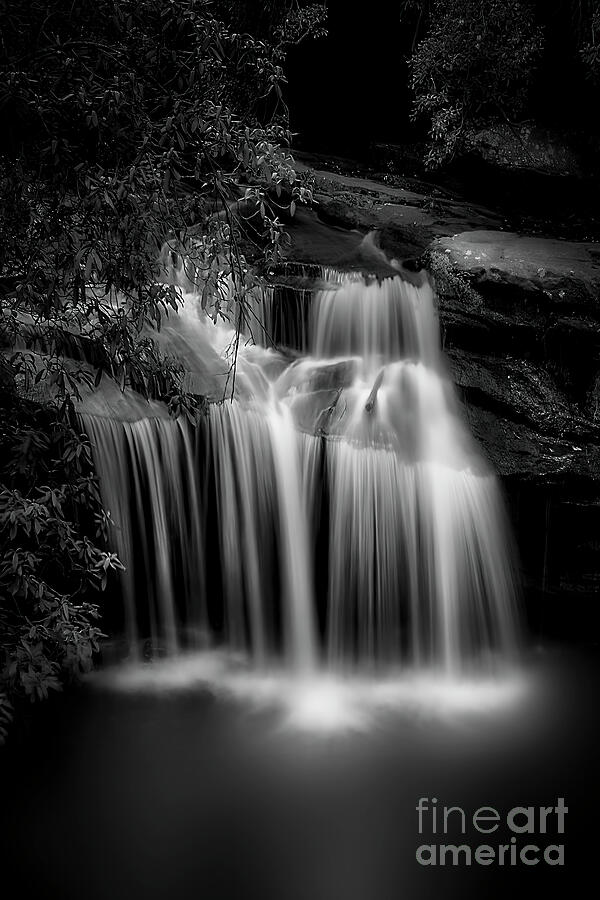 Carrick Creek Falls in Black and White Photograph by Shelia Hunt