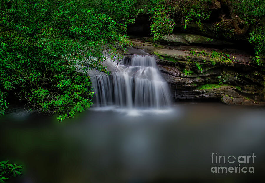 Carrick Creek Falls Photograph by Shelia Hunt