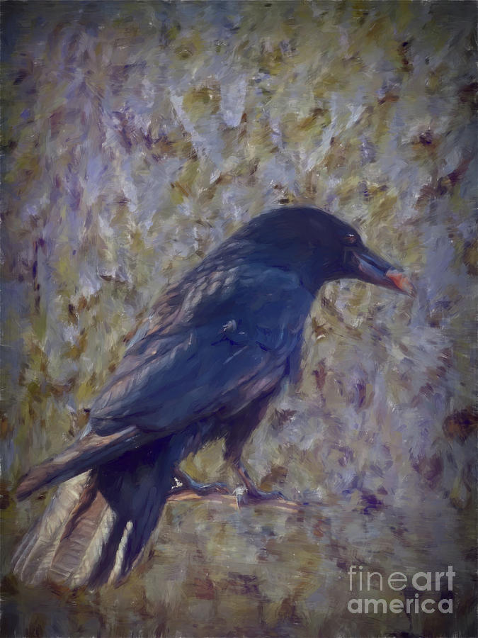 Carrion Crow - Portrait Photograph by Yvonne Johnstone