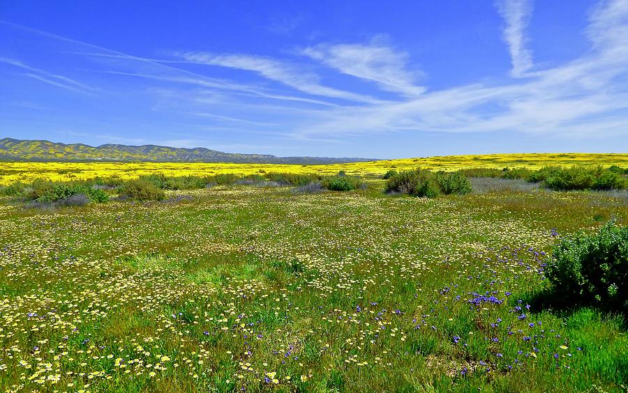 Carrizo Plain Lunch View Photograph by Amelia Racca
