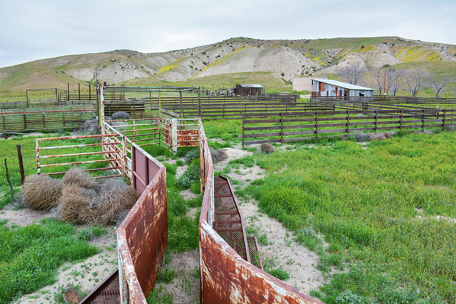 Carrizo Plain National Monument Ranch Photograph by Kyle Hanson