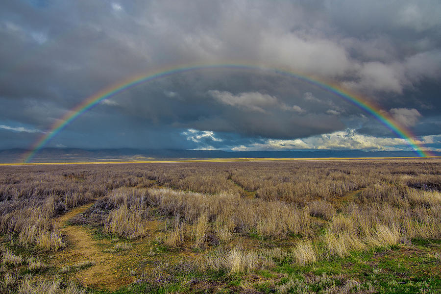 Carrizo Plain Rainbow Photograph by Matthew Irvin