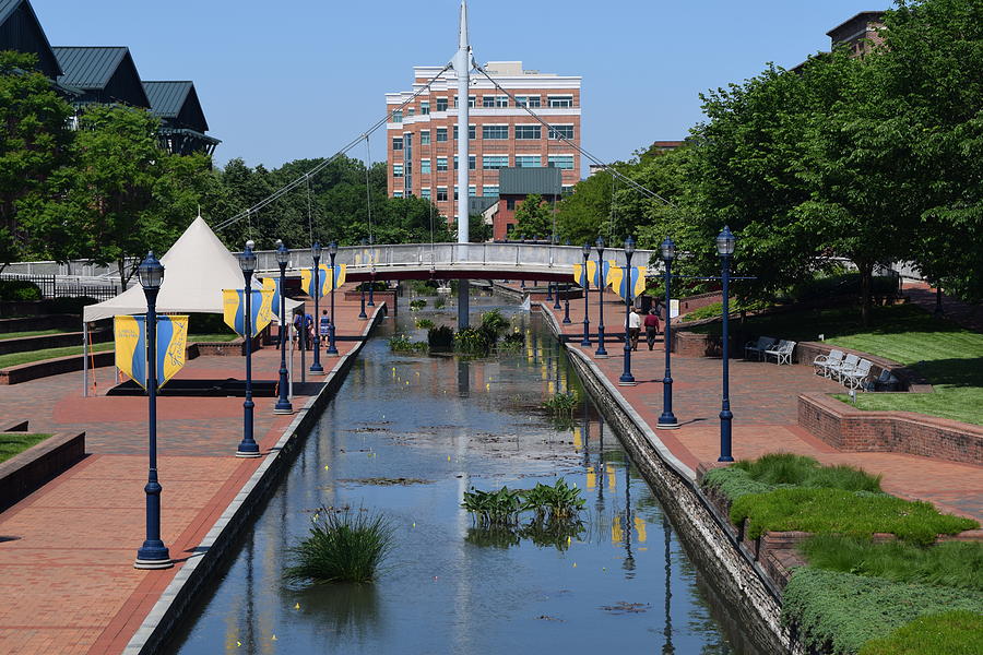 Carroll Creek Photograph by Mark Williams Fine Art America Carroll Creek Photograph by Mark Williams Fine Art America
