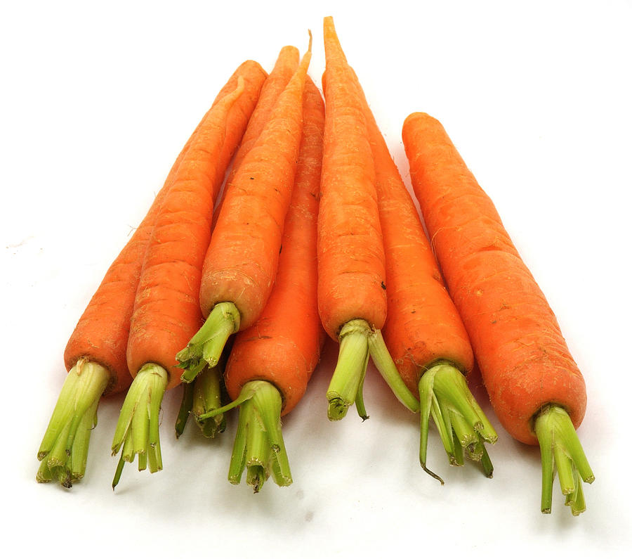 Carrot arrow Photograph by (C)Andrew Hounslea