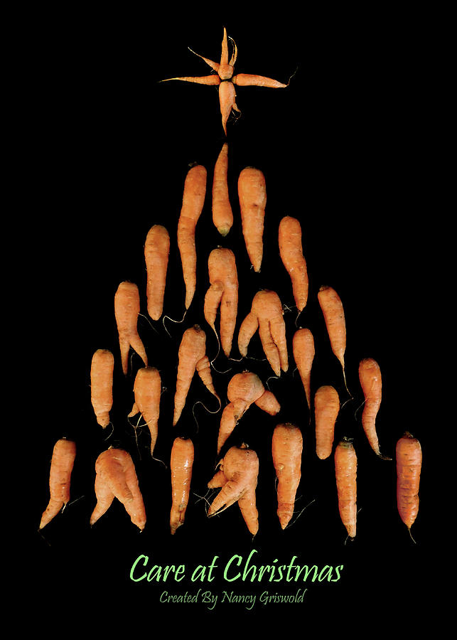Carrot Christmas Photograph by Nancy Griswold