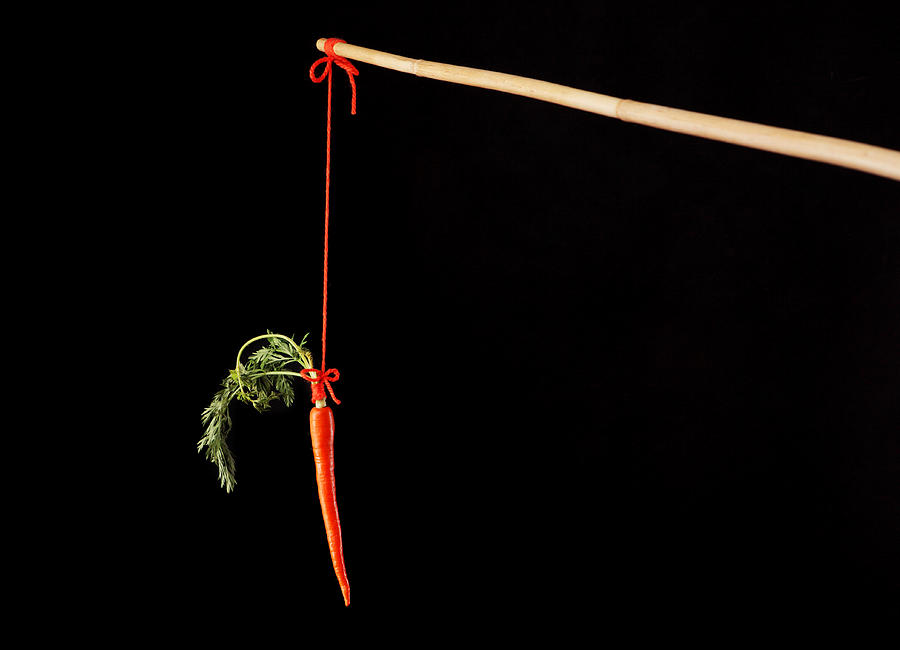 Carrot on a stick Photograph by CostinT