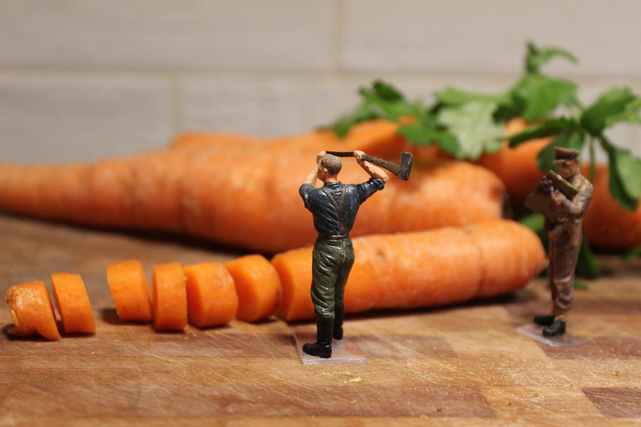 Carrots Photograph by Army Men Around the House