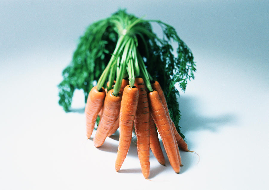 Carrots, close-up Photograph by Isabelle Rozenbaum