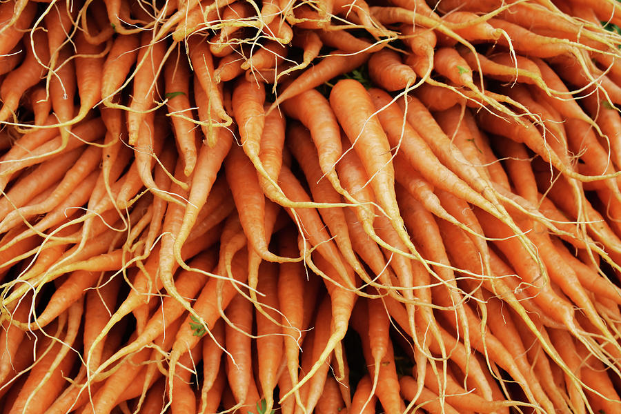 Carrots Photograph by D Patrick Miller