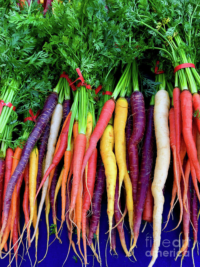 Carrots Photograph by Doc Braham