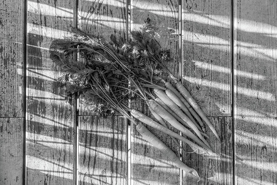 Carrots in Black and White Photograph by Sharon Popek