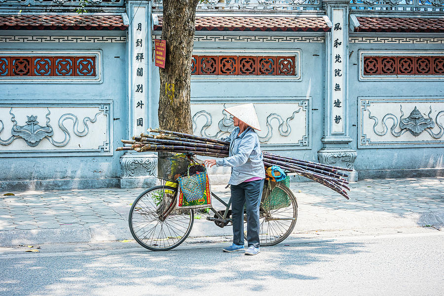 Bicycle Photograph - Carrying Cane by Marla Brown