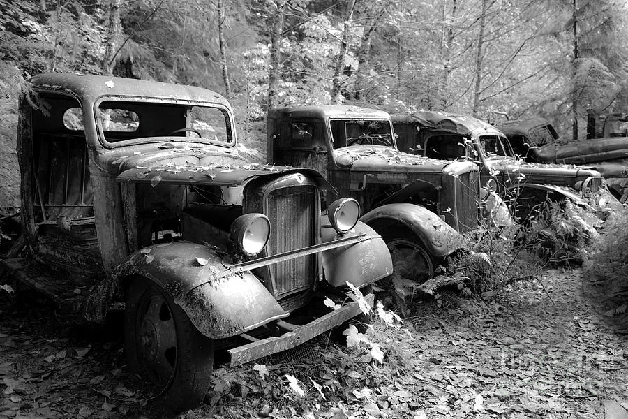 Cars from the Past Photograph by Jackie Follett - Fine Art America