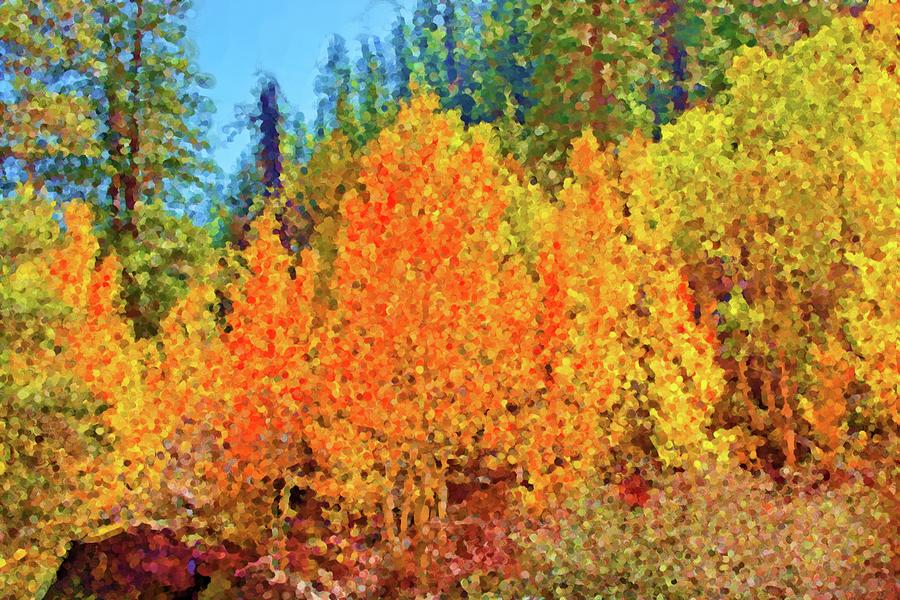 Carson River Fall Colors Digital Art by David Desautel