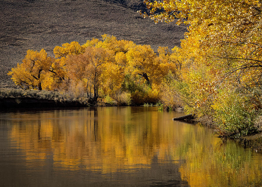 Carson RIver Gold, NV 2021 Photograph by Sue Winslow - Fine Art America