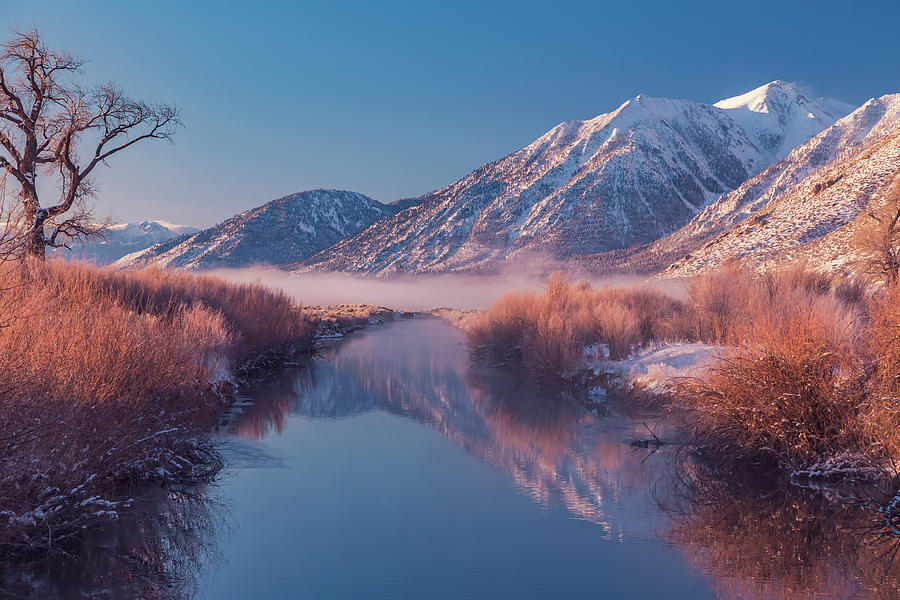 Carson River Reflection and Fog Photograph by Marc Crumpler