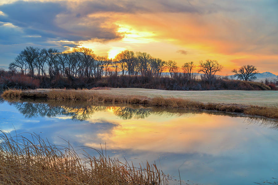Carson River Reflection at Sunrise Photograph by Marc Crumpler