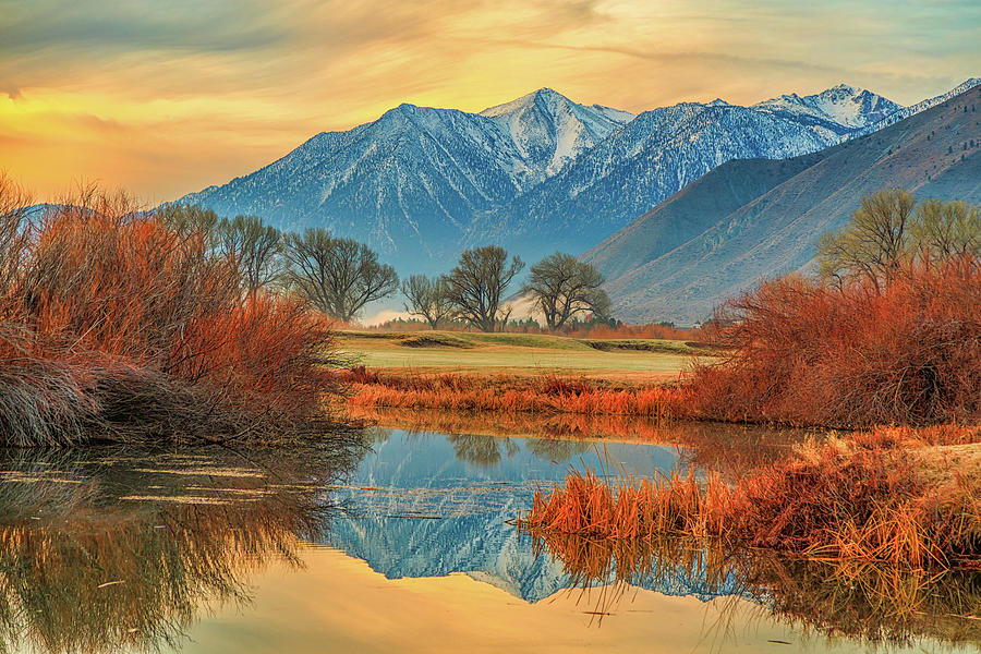 Carson River Reflection Photograph by Marc Crumpler