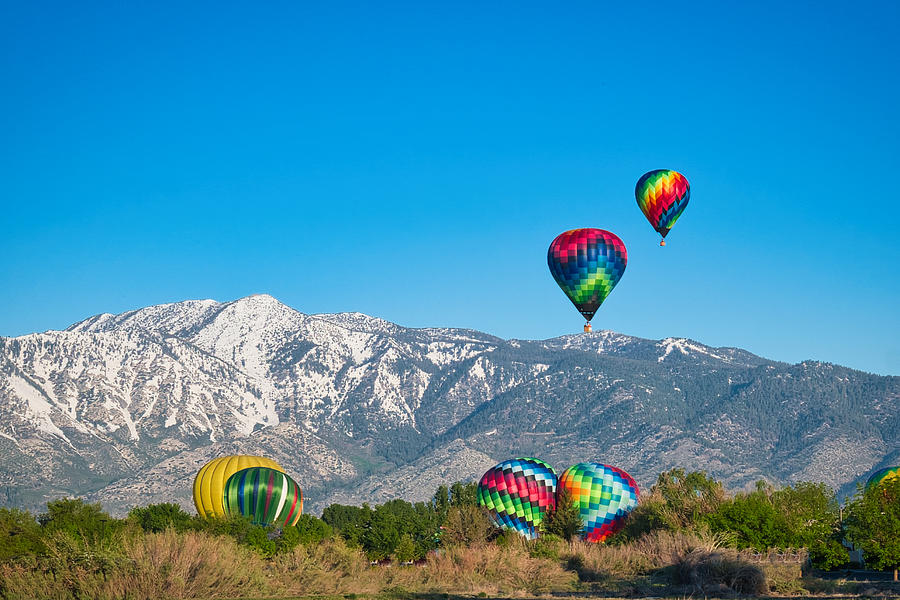Carson Valley Balloons Photograph by Steph Gabler