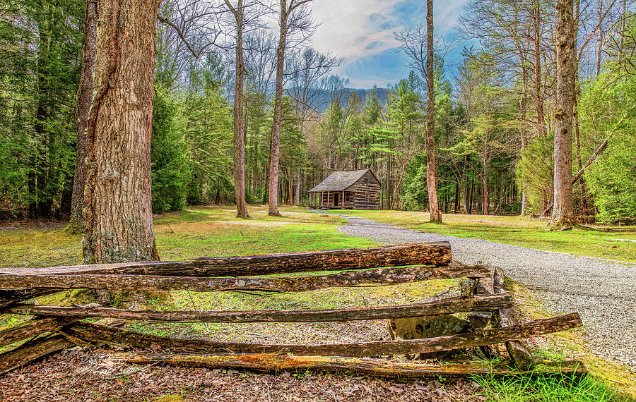 Carter Shields Cabin In Early Springtime Photograph by Marcy Wielfaert