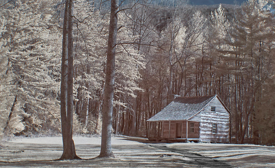 Carter Shields Cabin Smoky Mountains Photograph