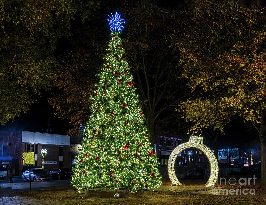 Cartersville Christmas Tree Photograph by Nick Zelinsky Jr