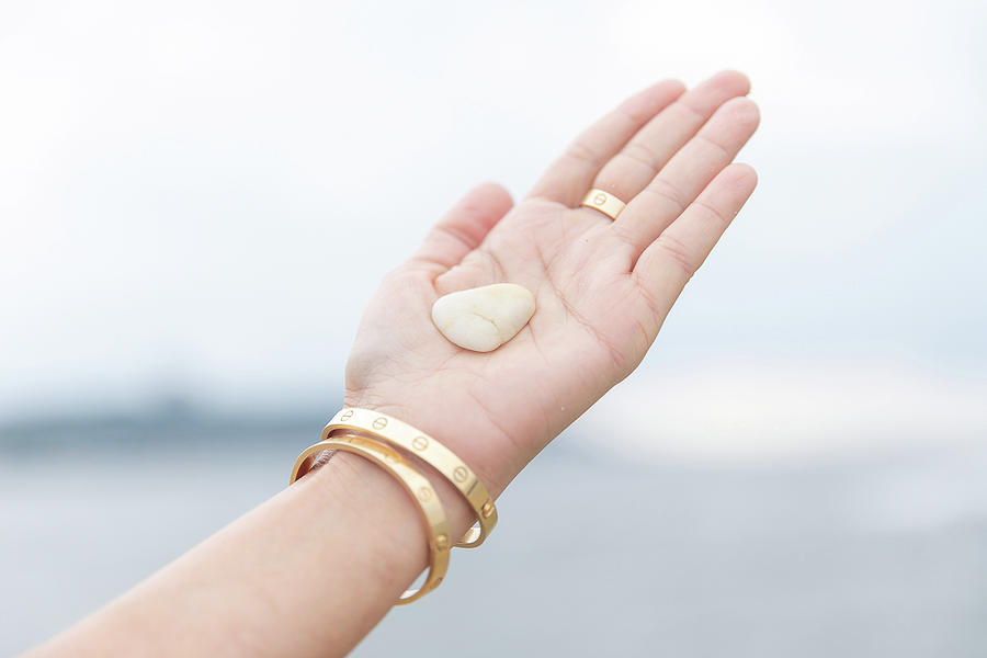 Cartier at the Beach by Jody Grewal