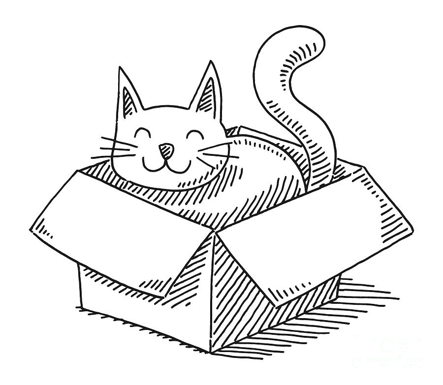 Cartoon Cat In A Cardboard Box Drawing Drawing by Frank Ramspott - Pixels