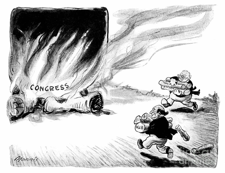 Cartoon - Congress, 1916 Drawing by Granger