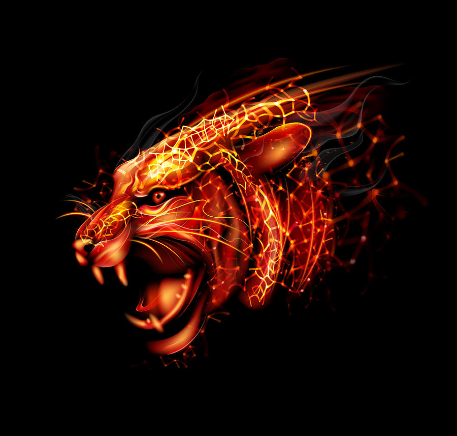 Cartoon fireworks of tiger head Drawing by Adelevin