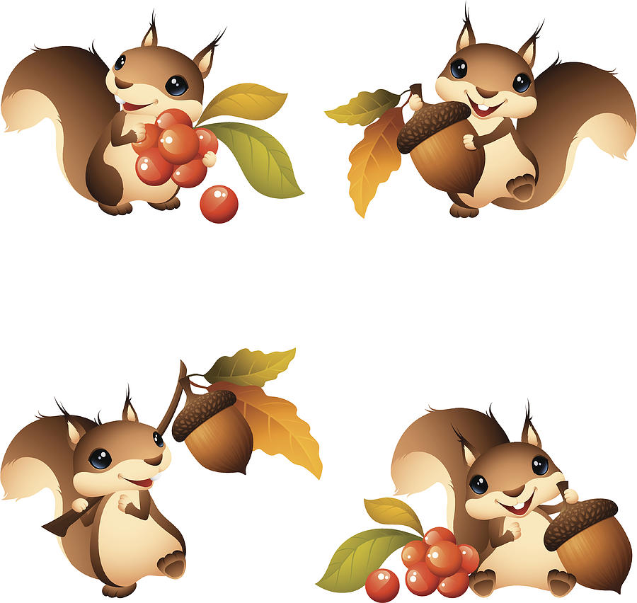 Cartoon graphics of squirrel with acorn or berries Drawing by Nokee