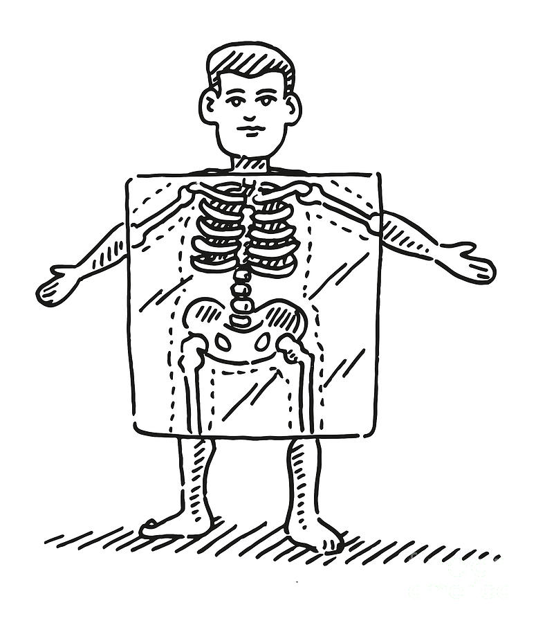 Cartoon Human Figure X-Ray Skeleton Drawing Drawing by Frank Ramspott