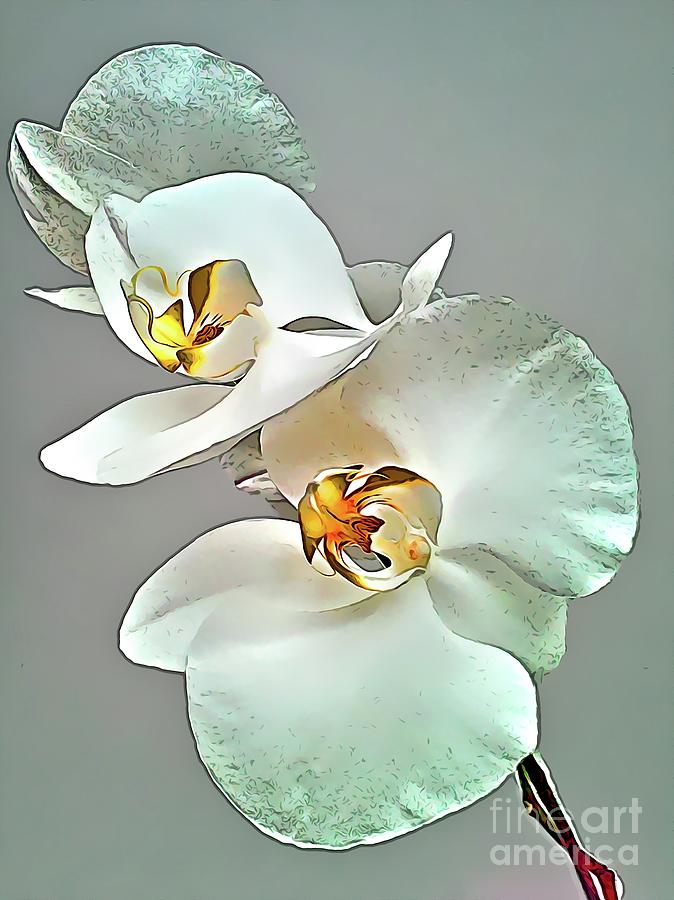 Orchid Mixed Media - Cartoon Orchid Flowers by Daniel Janda