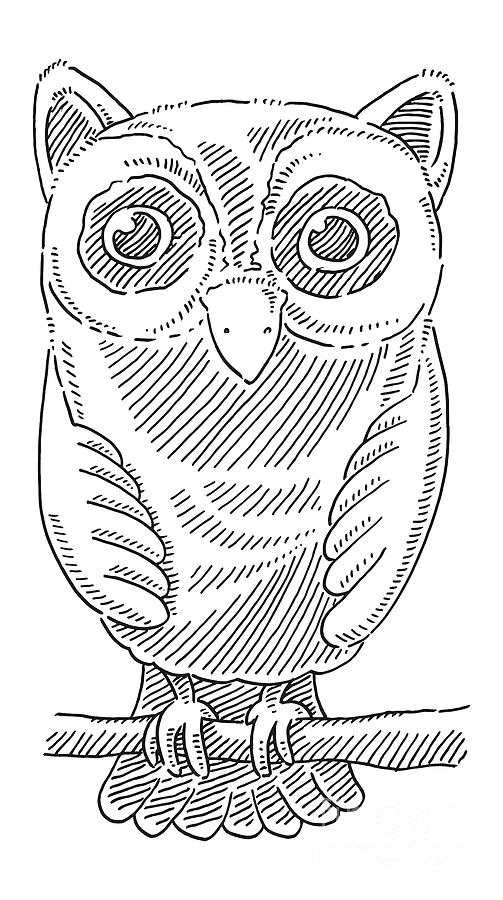 Black And White Drawing - Cartoon Owl Bird Drawing by Frank Ramspott