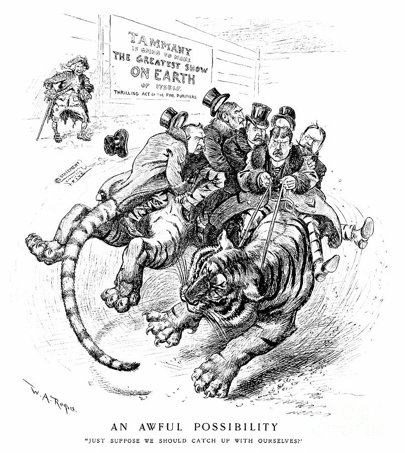 Cartoon - Tammany Hall, 1901 Drawing by William Allen Rogers