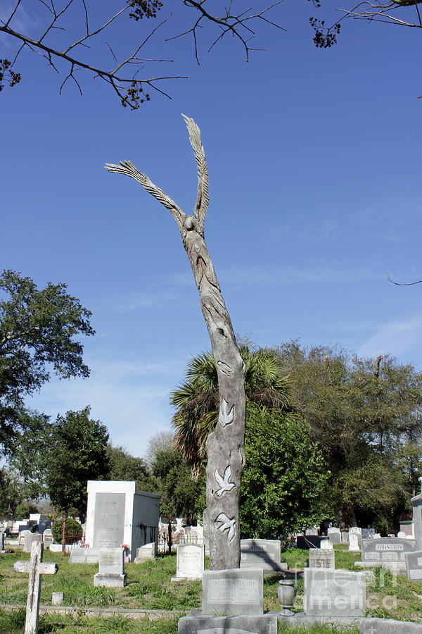 Carved Angel Tree in Cemetery Photograph by Roberta Byram