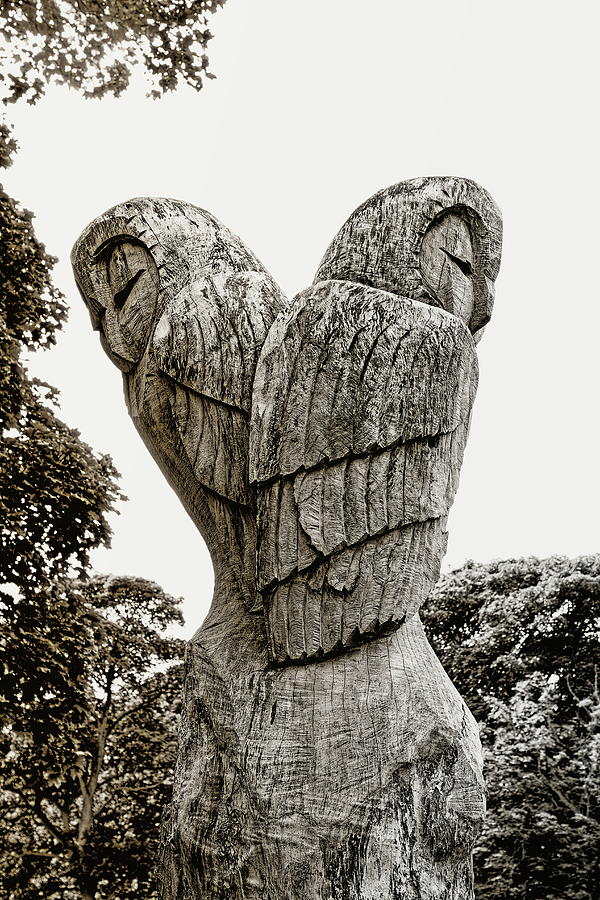 Carved Owls Monochrome Photograph by Jeff Townsend