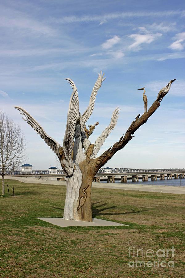 Carved Tree Bay St. Louis Photograph by Roberta Byram
