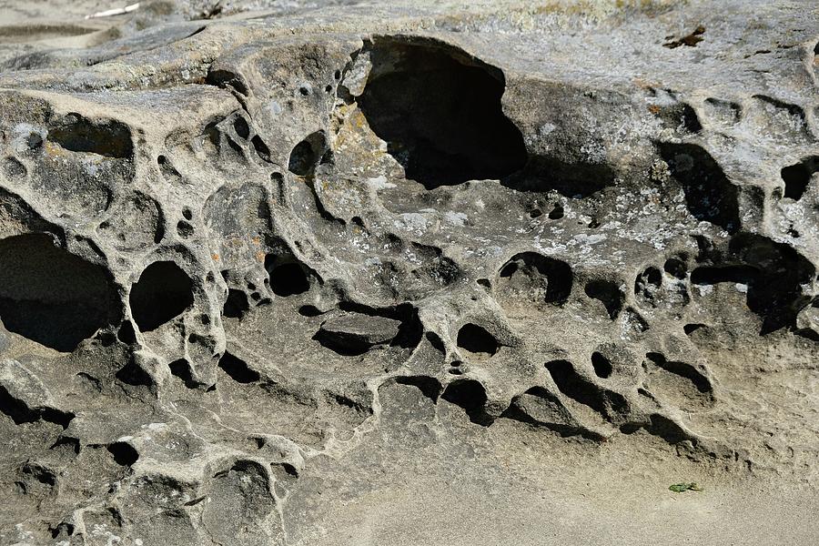 Carvings of Nature Photograph by Rosemary Howard - Fine Art America